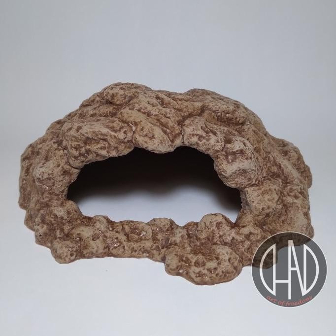 hiding cave reptile , gecko size M