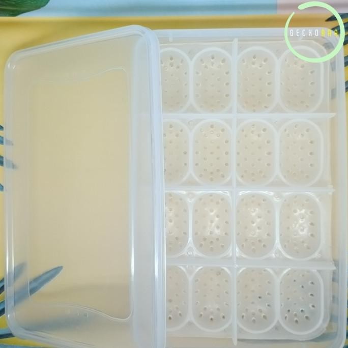 Inkubator Telur Reptil Gecko 16 Slot