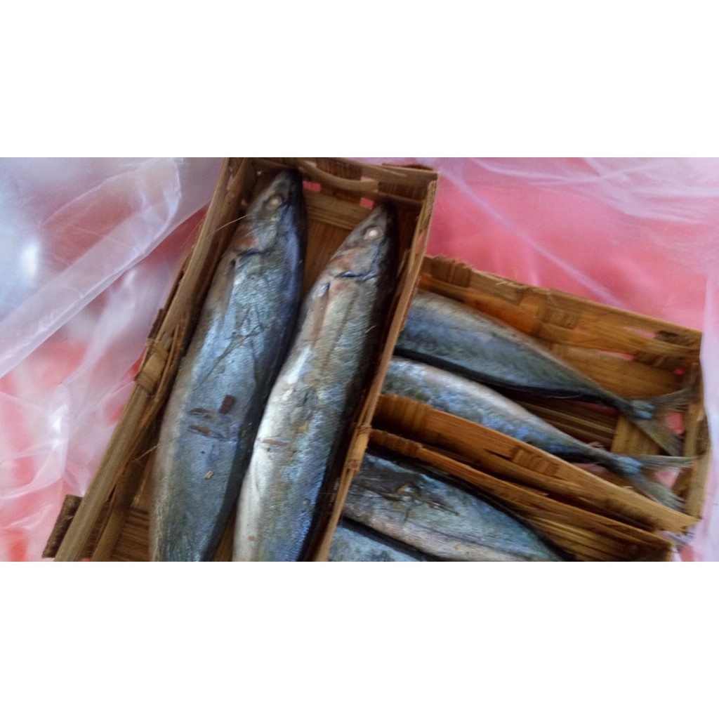 

Ikan cuek isi 2 pcs