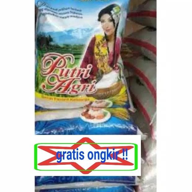 

TERSEDIA BERAS SUPER SLYP MEREK PUTRI AGRI 10 KG - GOSEND