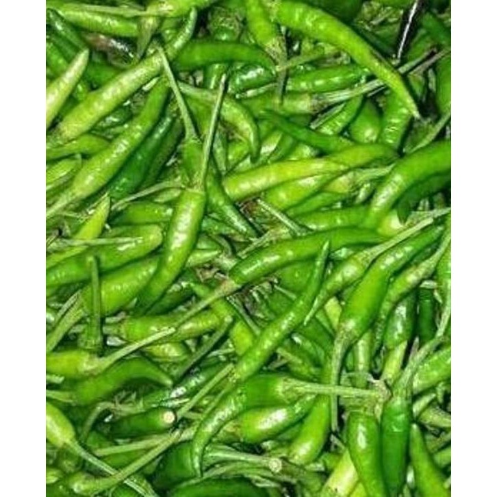 

Cabai Cabe Rawit Hijau Ijo Petik Green D'S Eye Chili 500 Gr - 1 Kg