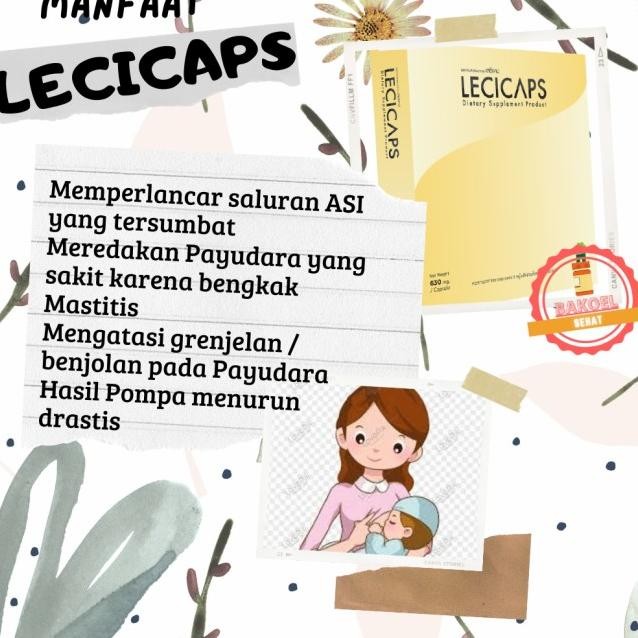 Asi Booster Lecicaps