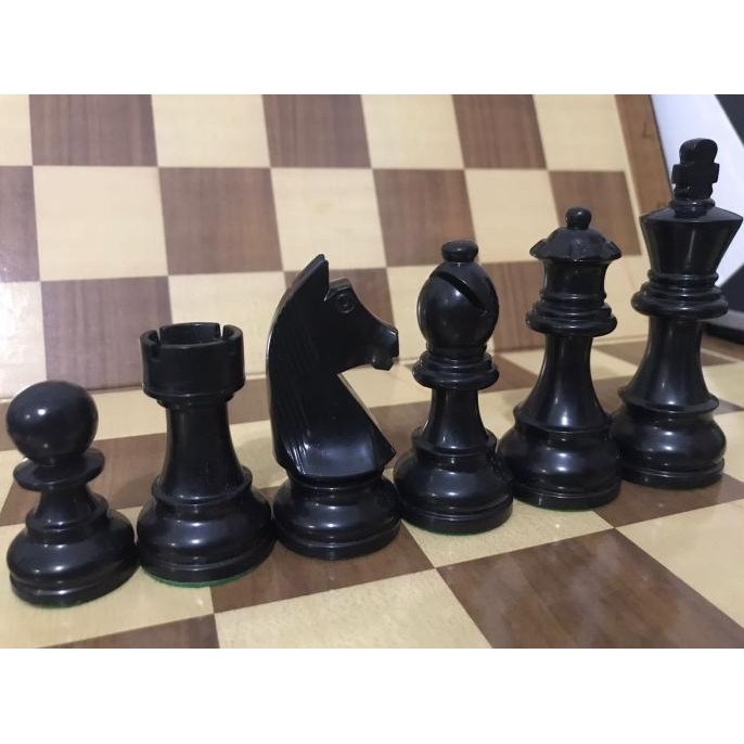 SET CATUR PLASTIK KUDA DGT - DGT CHESS PIECES - CATUR STANDAR NASIONAL
