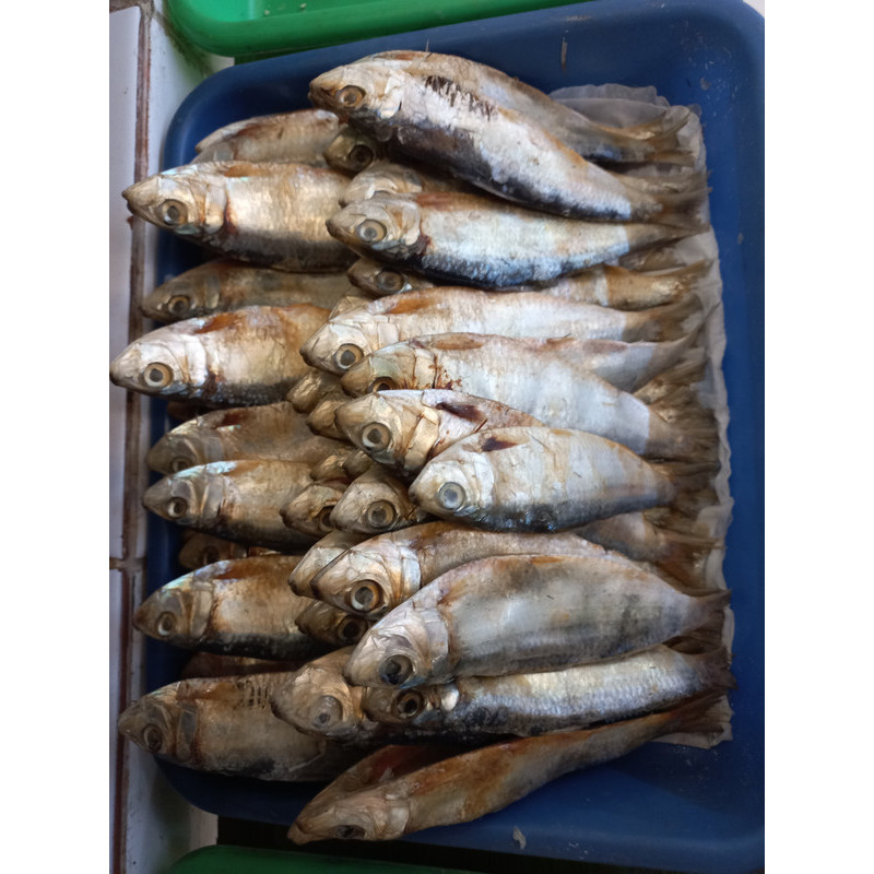 

Ikan asin Tembang 1kg