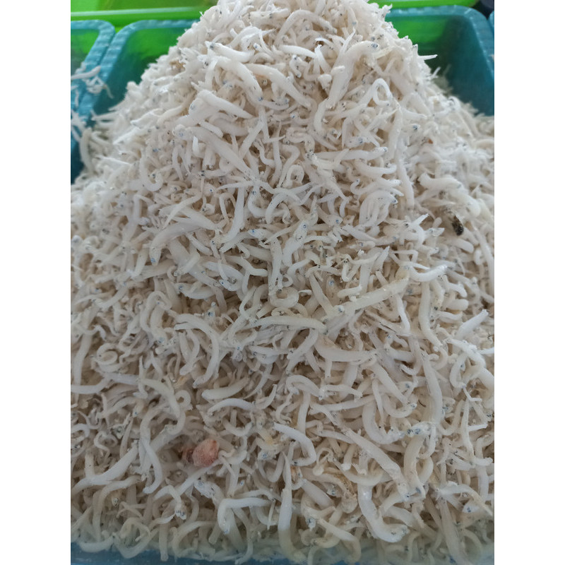 

Ikan teri jengki bulat 250 gr
