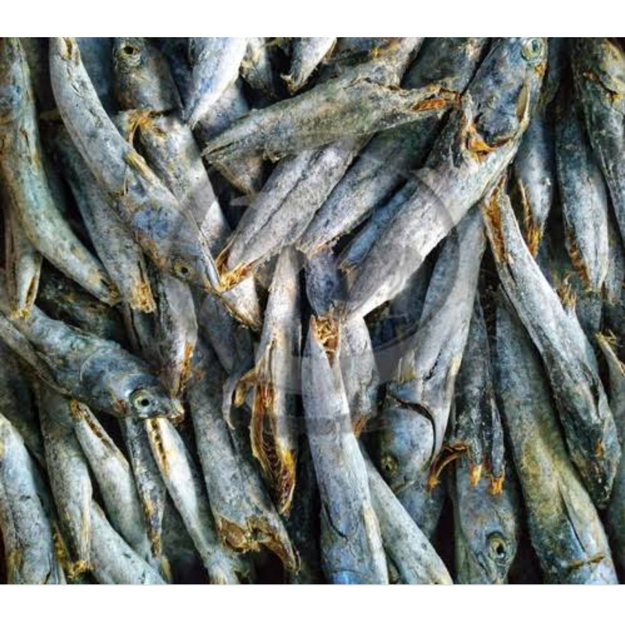 

Ikan layang rebus 100 gr