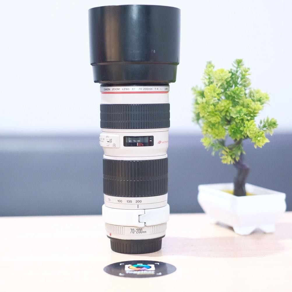Rania Lensa Telle Canon 70-200Mm F4 Usm For Canon Second Mulus Siap Tempur