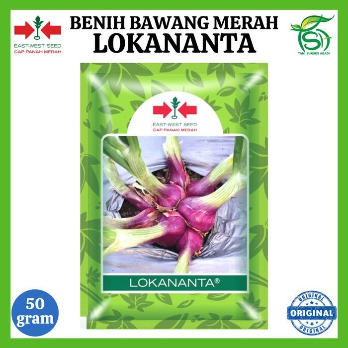 

Benih Bawang Merah Lokananta 50 Gram - Bibit Cap Panah Merah 50 Gr Berkualitas