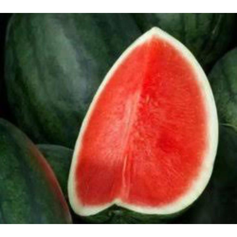 

Semangka merah non biji 2,5 kg