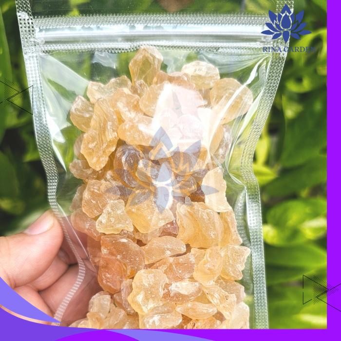 

SNOW BIRD NEST 100GR / 500GR - XUEYAN - GUMTRAGACANTH PRODUK PILIHAN