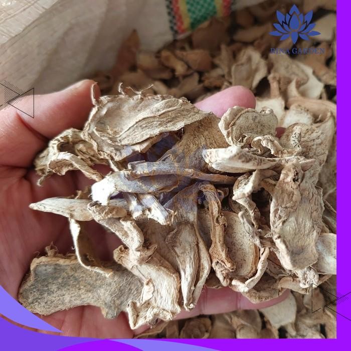 

LEMPUYANG KERING 500GR - PUYANG IRIS RAJANG KERING KUALITAS BAGUS PRODUK TERBAIK