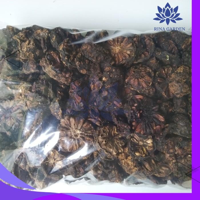 

PACE / MENGKUDU RAJANG KERING 1KG TERBAIK