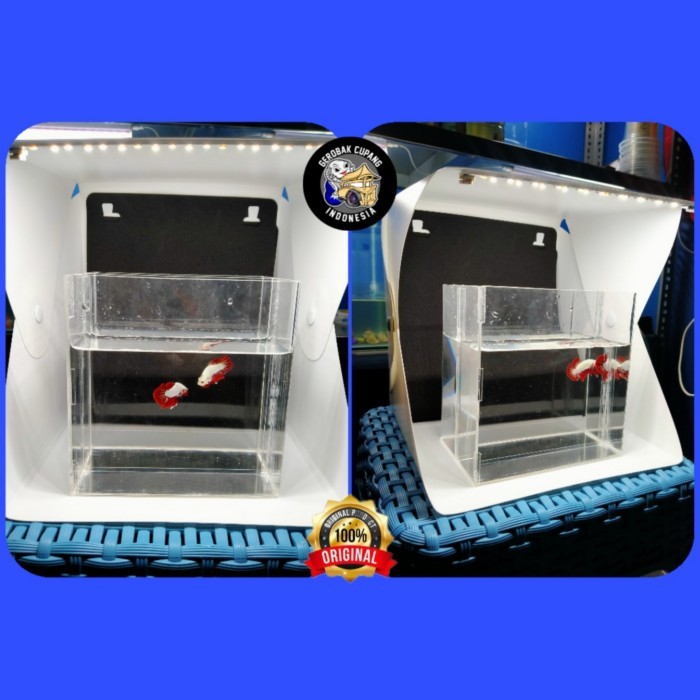 Best Seller Mini Studio Dan Akrilik Selfie Untuk Live Lelang Ikan Cupang