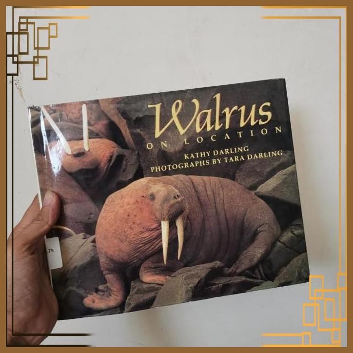 

[ADG] Import book walrus on location