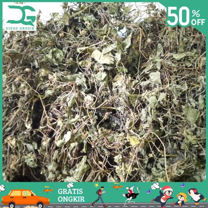 

BAHAN ALAMI DAUN PEGAGAN KERING 500GR - DAUN ANTANAN - DAUN KAKI KUDA ASLI BY DIEGO GROSIR KUALITAS PRODUK TERBAIK!!