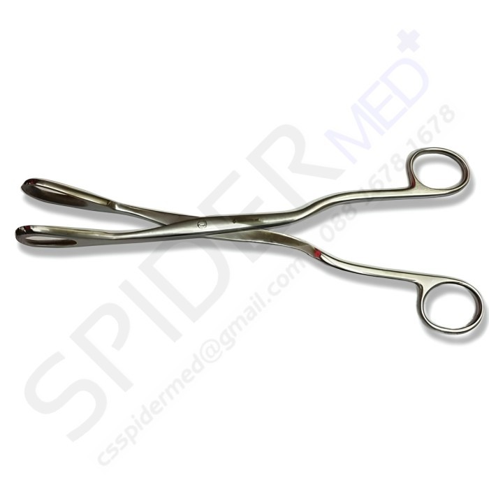 Renz Corey Ovum Forcep 24Cm / Renz Corey Ovum Forceps 24 cm
