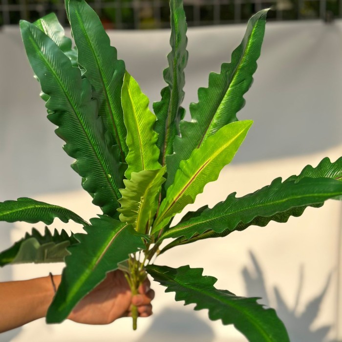 Julie - Tanaman Kadaka Gelombang Cinta Palsu Plastik Imitasi Hias Artificial Dekorasi