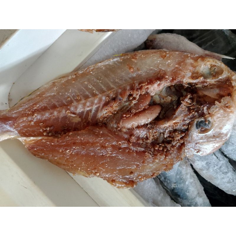 

dendeng ikan laut superan ikan Cemot kkap boce dll