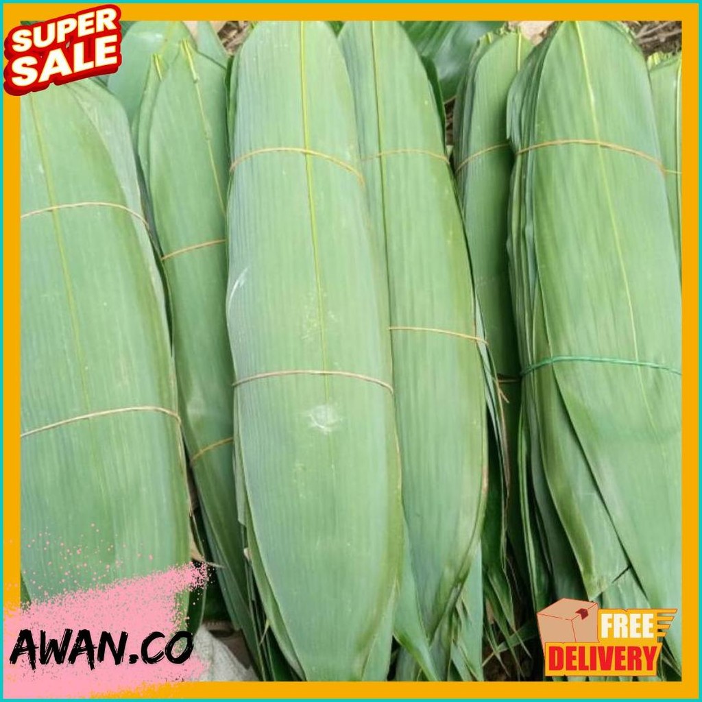 

Daun Bambu Jumbo Bakcang / Daun Bacang Murah Per 100 Lembar / Daun Bambu / Bungkus Bakcang / Lapis Bandeng Presto / Daun Herbal (Lagi Viral)