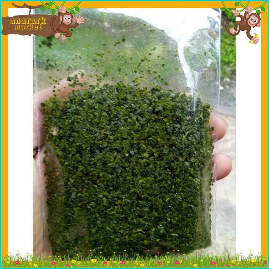 

Daun Jeruk Asli Murni Tanpa Batang Siap Tabur Ke Cabe Bubuk, Aneka Cemilan ,Gorengan, Makanan, Nasi Anget Dll Rasakan Sensasi Yg Menggugah Selera (Cod)