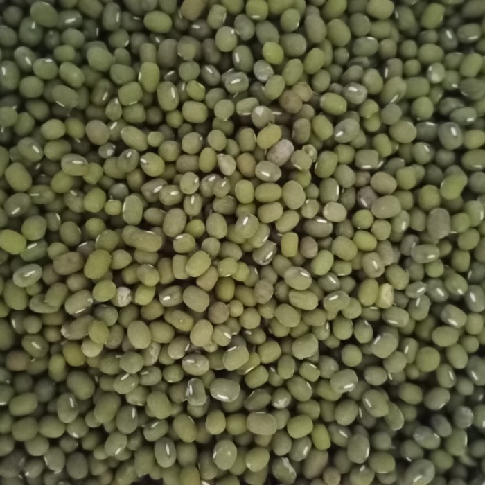 

TERMURAH kacang hijau lokal super 1kg