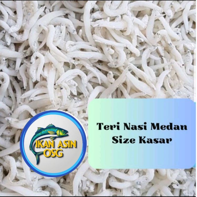 

Ikan Asin Teri Nasi Medan Super /tn putih/ size jumbo 250gr