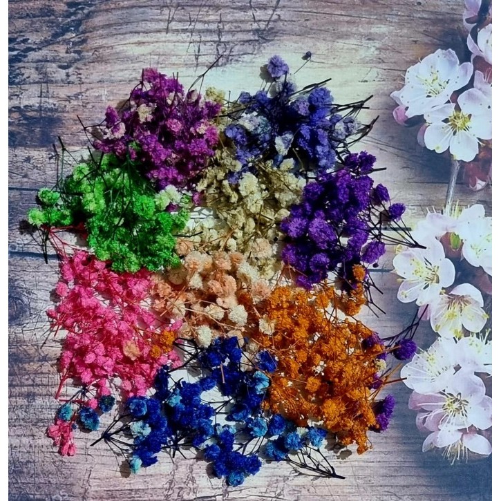 

WN575 Real Dry Baby Breath - Resin Filler Baby Breath Kering Tangkai Pendek DISKON