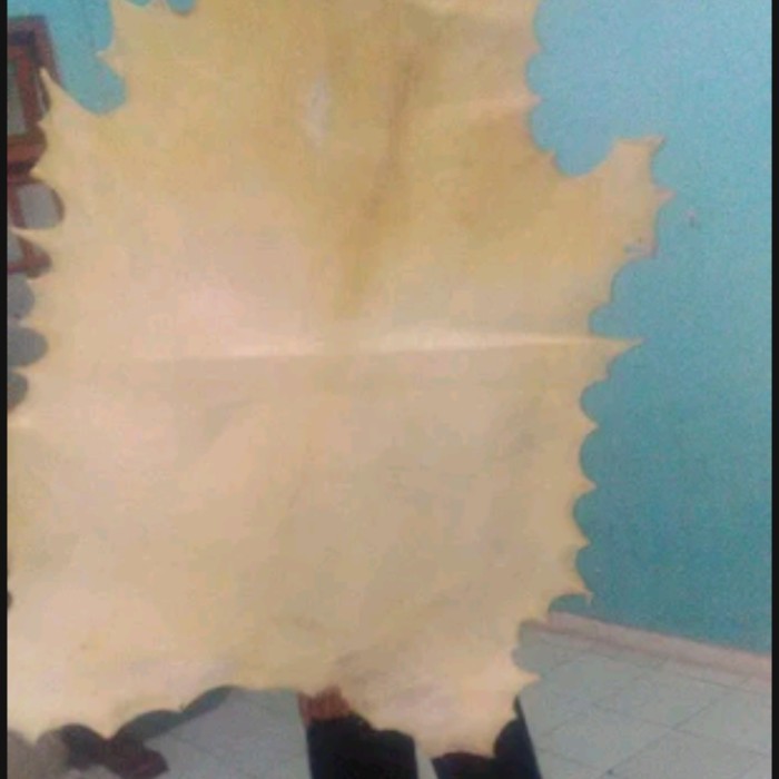 Kulit Kambing Lembaran Untuk Jimbe Bedug Marawis Hadroh