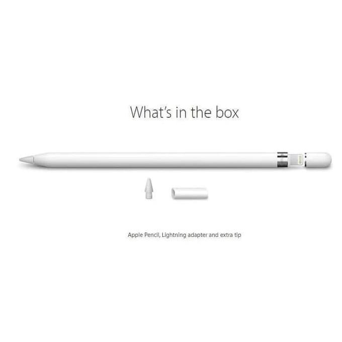Murah Apple Pencil Gen 1 + Pencil Adapter Type C For Ipad Gen 10