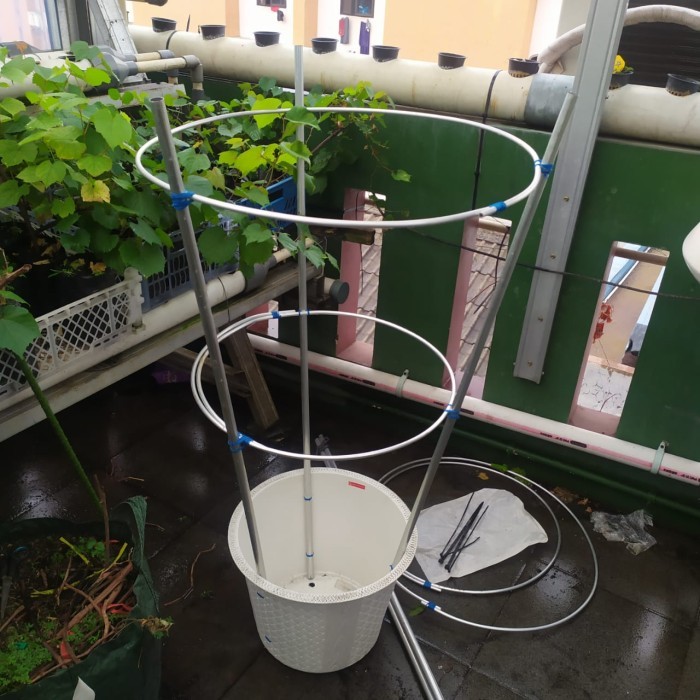 Tiang Rambatan Tanaman Anggur Tabulampot Alumunium 120cm