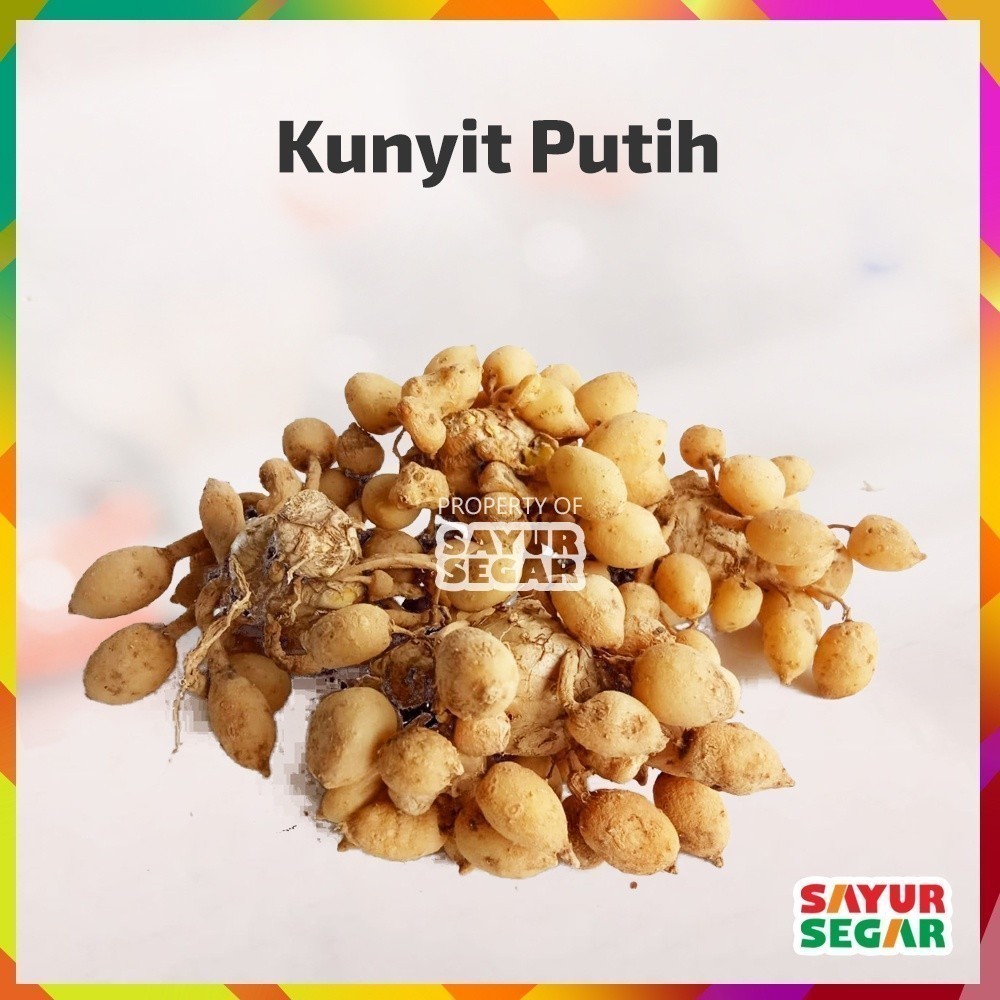 

KUNYIT PUTIH [100g]