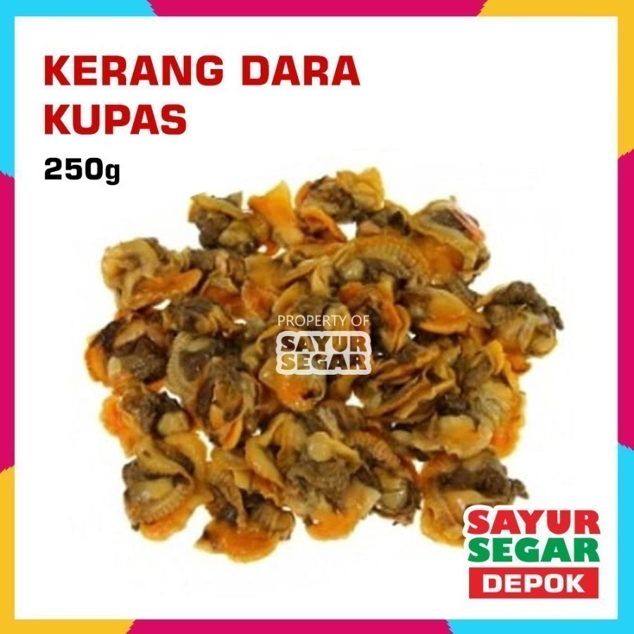 

KERANG DARA KUPAS [250g] PREMIUM