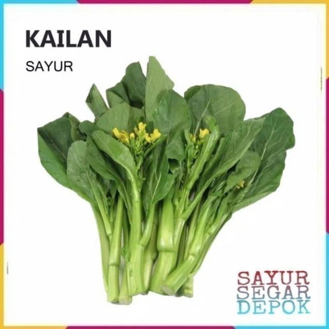 

SAWI KAILAN SAYUR / SAYUR DEPOK