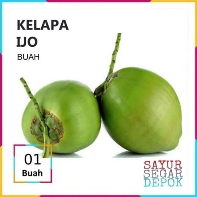 

KELAPA IJO / BUAH KELAPA HIJAU