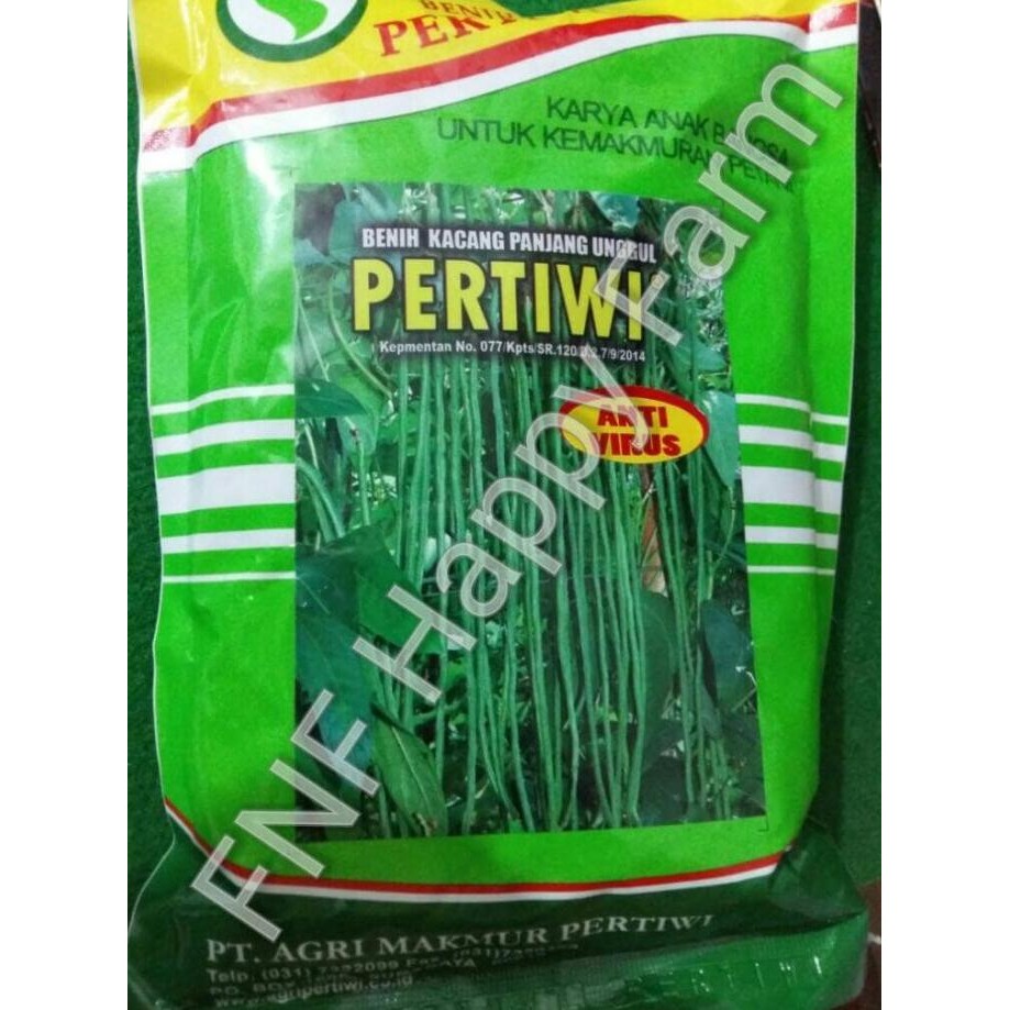 Bibit Kacang Panjang Pertiwi | 500gram
