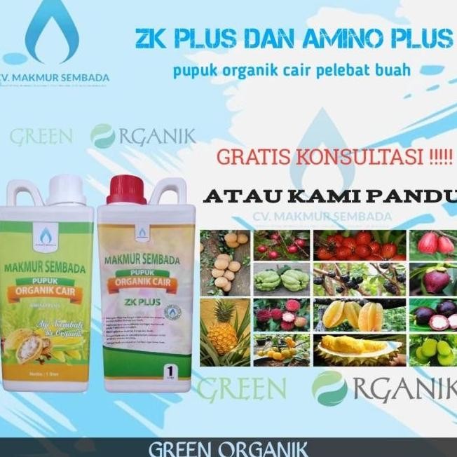 PUPUK ORGANIK AMINO PLUS DAN ZK PLUS PUPUK PELEBAT BUAH ANTI RONTOK
