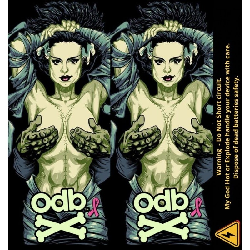 

Ambitionstore Stiker Wrap Baterai 18650 Odb Motif Retro Art V2 Series Pelindung Dan Penghias Untuk Segala Merek 19 Casing/Case Stiker Skin Wrap CUSTOM - Premium Quality