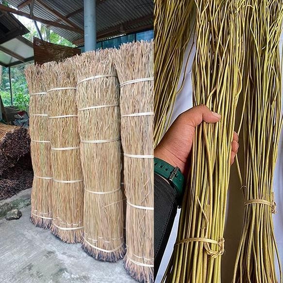 AKAR MANON UNTUK BAHAN KERAJINAN DEKORASI