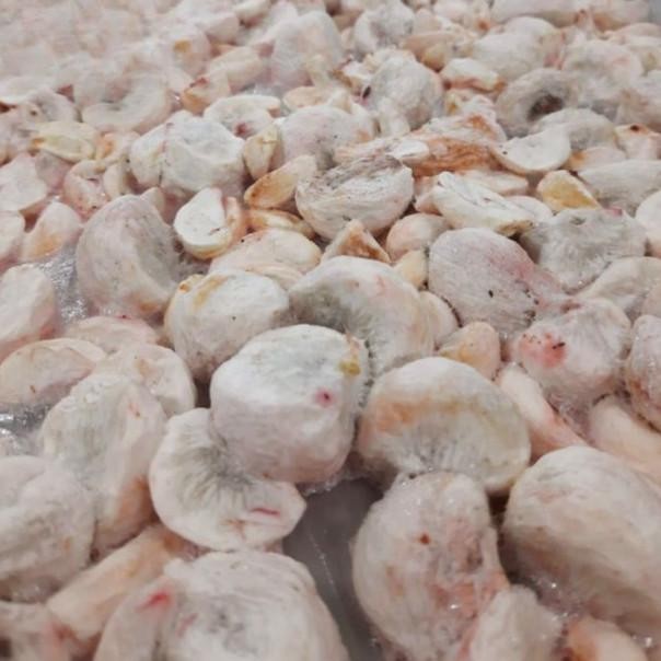 

Sna Buah Manggis Freeze Dried Mangosteen Fruit Calan Sehat