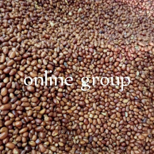 

Kacang Tanah Goreng 1 Kg