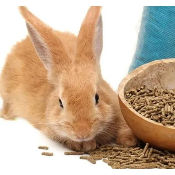 Nova 1Kg Makanan Kelinci - Pelet Kelinci