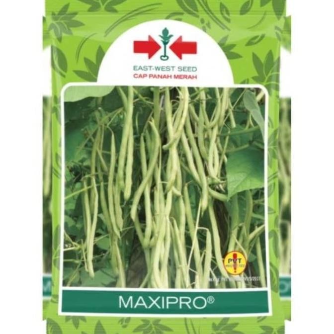 

Benih Buncis Tahan Penyakit MAXIPRO Cap Panah Merah 500g Bibit Buncis COD