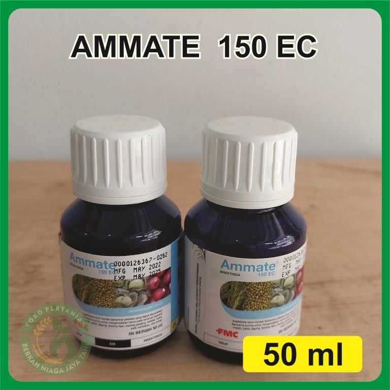 INSEKTISIDA AMMATE 50 ML