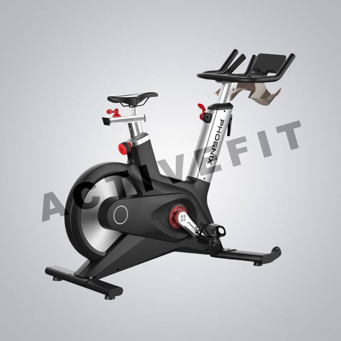 DHZ NOBLE INDOOR CYCLING BIKE A300 / S300 / SPINNING BIKE No Console