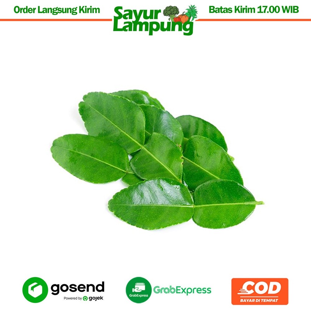 

Daun Jeruk 50 Gr - Sayur Lampung