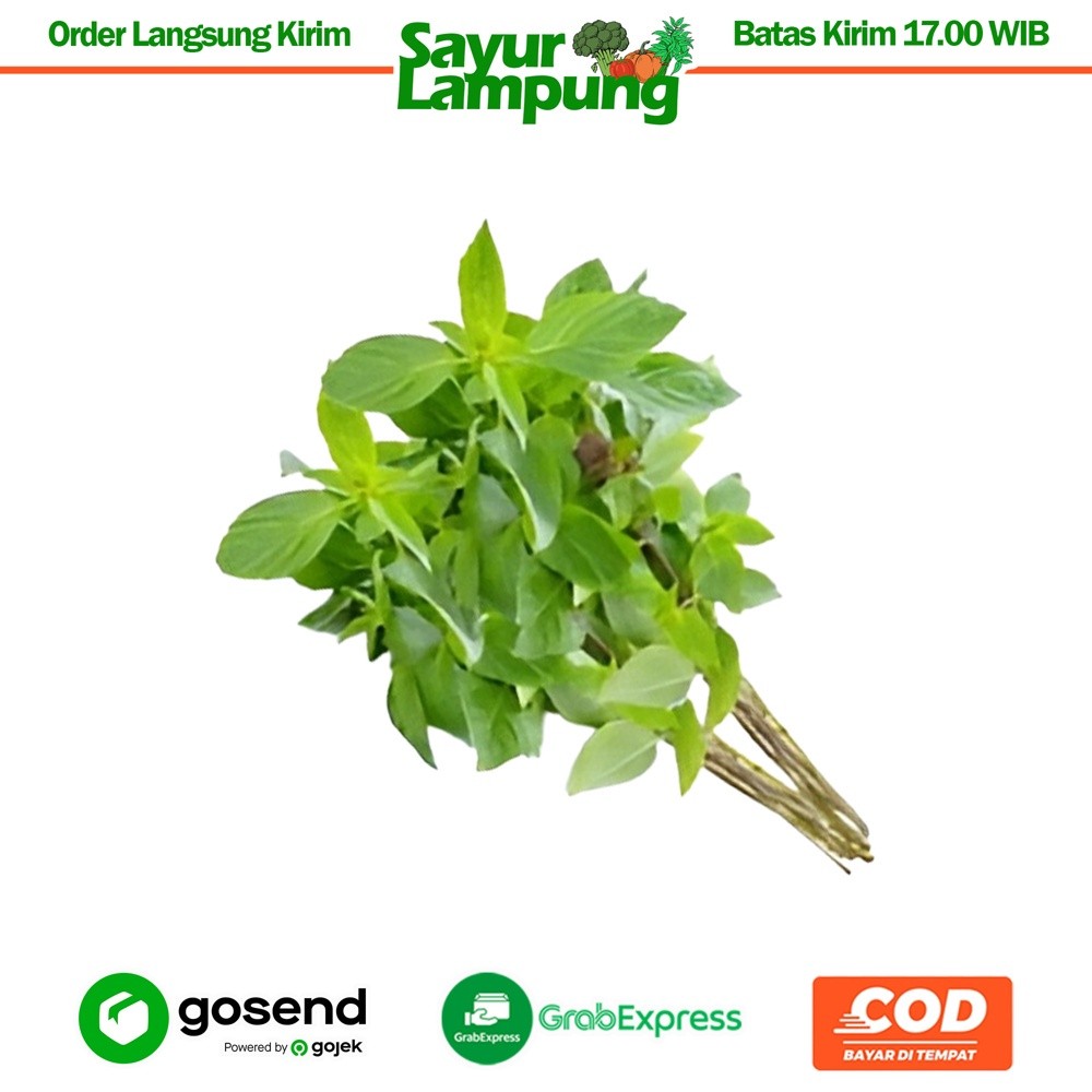 

Kemangi 1 Ikat - Sayur Lampung