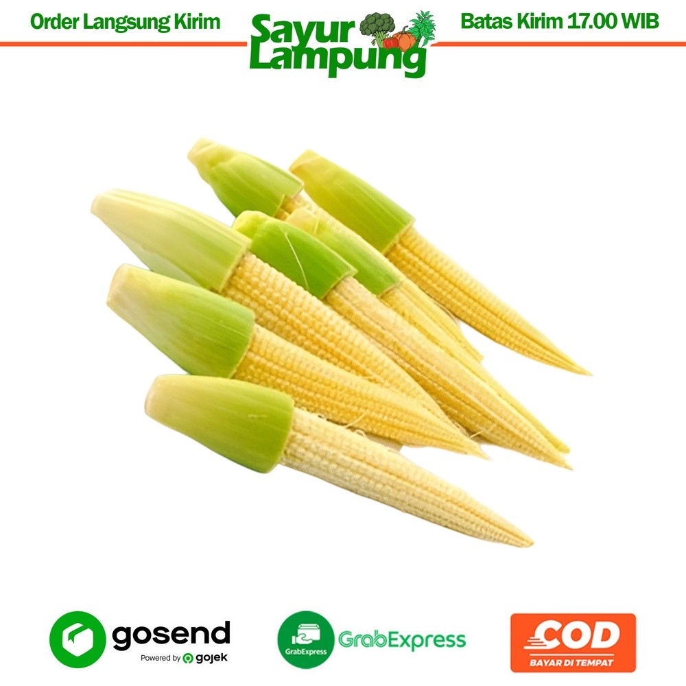 

Putren / Soleng / Jagung Muda 1 Kg - Sayur Lampung