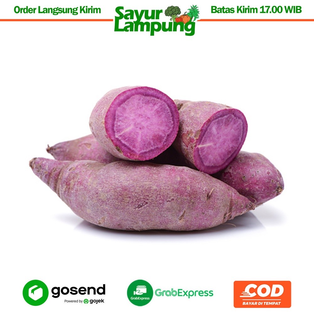 

Mantang/Ubi Ungu 1 Kg - Sayur Lampung