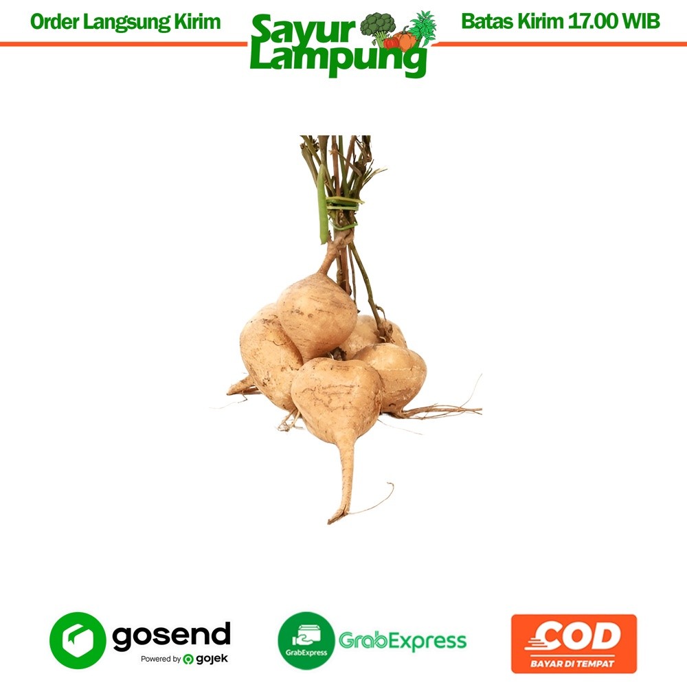 

Bengkoang 1 Ikat - Sayur Lampung