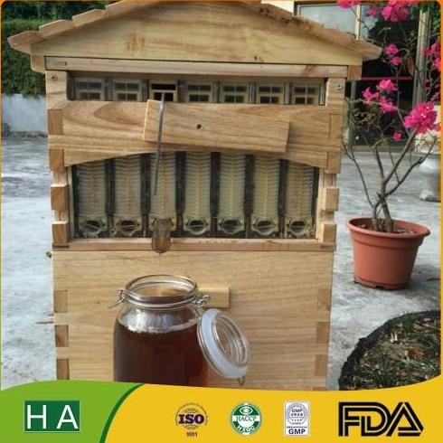 NEW Flow honey bee hive frame isi 3